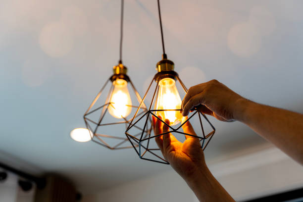 Best Home Electrical Repair  in Weldon, NC
